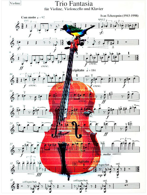 Artnwordz Cello Birds Original Music Sheet Pop Art Wall or Desk Art Print Poster