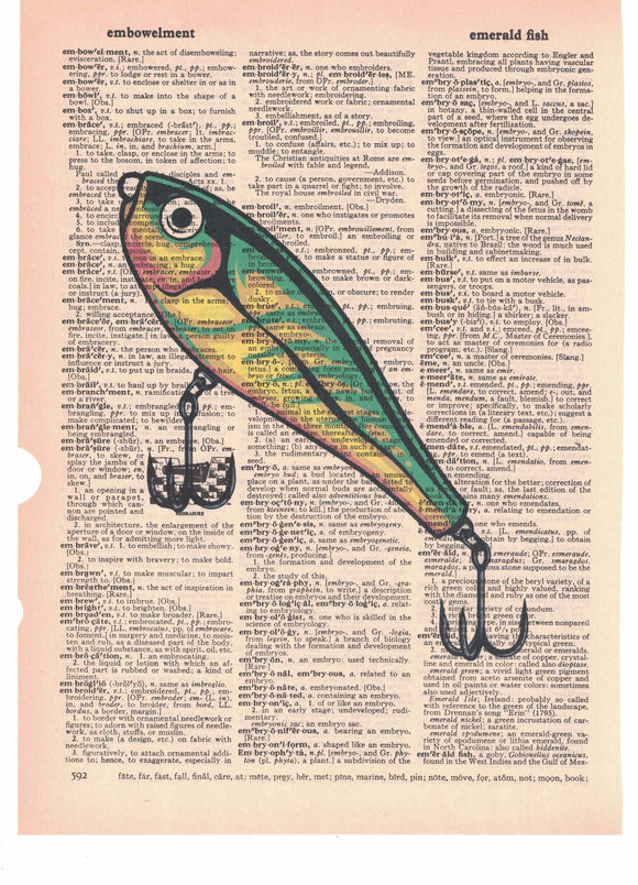 Fishing Lure Dictionary Art