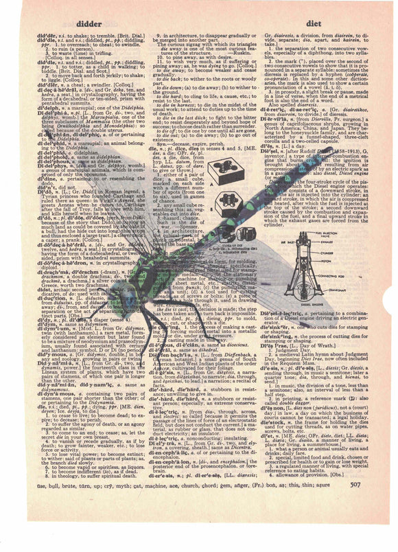 Dragonfly Dictionary Art