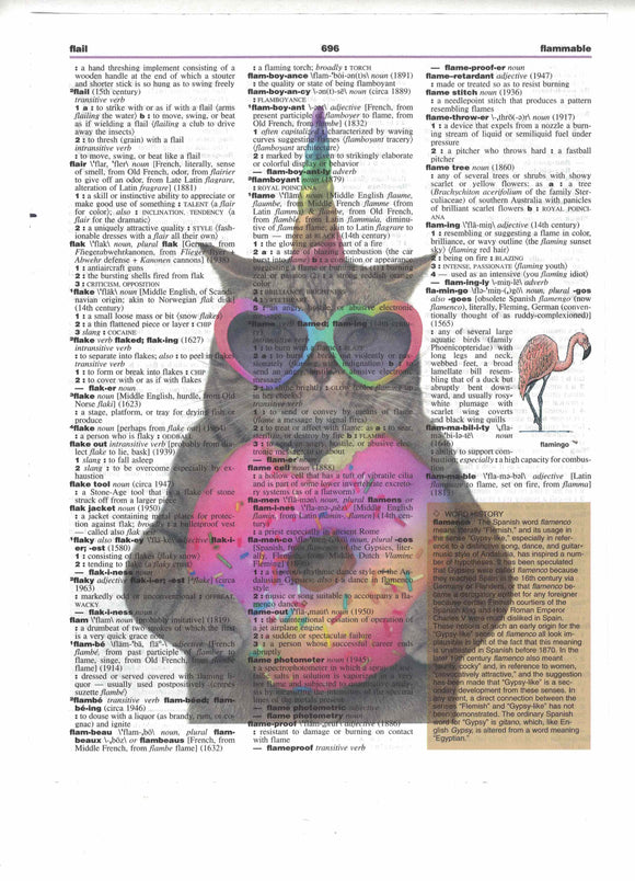Unicorn Cat Dictionary Art Print