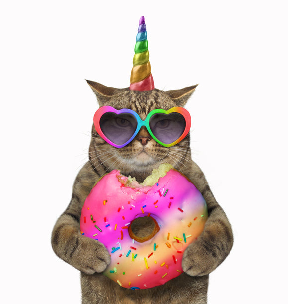 Unicorn Cat Dictionary Art Print