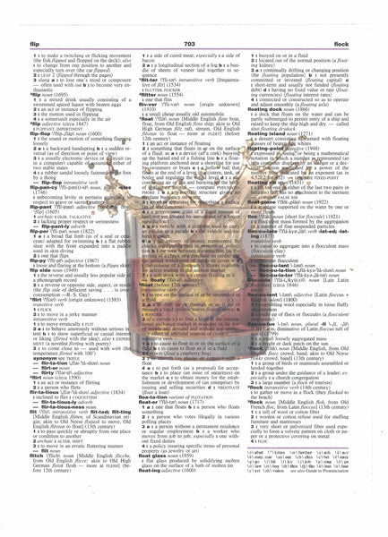 Whiskey Splash Rocks Dictionary Art Print