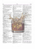 Whiskey Splash Rocks Dictionary Art Print