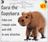 Kamibashi Cara the Capybara Original String Doll Keychain