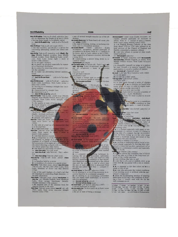 Lady Bug Ladybug Dictionary Art Print