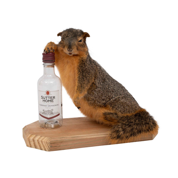 Drunk Squirrel with Wine Bottle Taxidermy Animal Statue on Base
