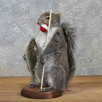 Fisherman Fishing Squirrel Taxidermy Animal Statue on Base Home or Office Gift
