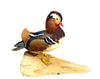 Sitting Mandarin Duck Taxidermy Animal 10" x 10" x 6" Statue Home or Office Gift
