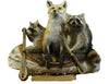 Noah's Ark- Two Raccoons One Fox Professional Taxidermy Mounted Animal Statue Home or Office Gift
