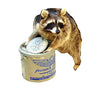 Raccoon In Minnow Bucket Professional Taxidermy Mounted Animal Statue Home or Office Gift