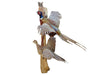 Pair of Flying Ring-neck Pheasants Professional Taxidermy Animal Statue Home or Office Gift