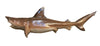 Mounted Shark Fish Reproduction Animal Wall Statue Home or Office Gift