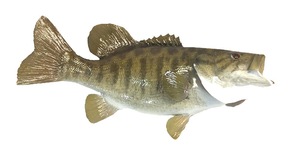 Mounted Small Mouth Bass Fish Reproduction Animal Wall Statue Home or Office Gift
