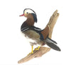 Standing Mandarin Duck Professional Taxidermy Animal Statue Home or Office Gift