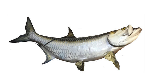Mounted Tarpon Fish Reproduction Animal Wall Statue Home or Office Gift