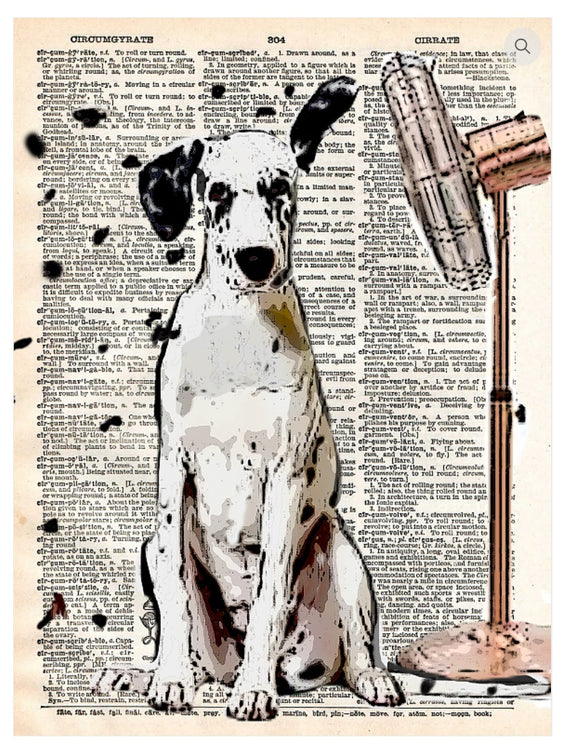 Artnwordz Hard to Spot Dictionary Page Pop Art Wall or Desk Art Print Poster