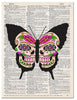 Artnwordz Butterfly Skull Dictionary Page Pop Art Wall or Desk Art Print Poster