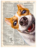 Artnwordz Woof Dog Dictionary Page Pop Art Wall or Desk Art Print Poster