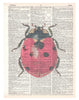Artnwordz Lady Bug Dictionary Page Pop Art Wall or Desk Art Print Poster