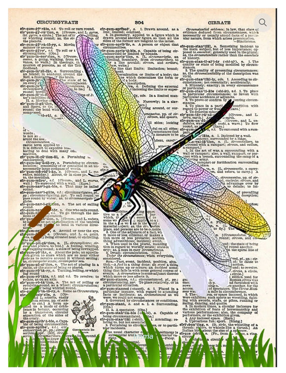 Artnwordz Dragonfly Dictionary Page Pop Art Wall or Desk Art Print Poster