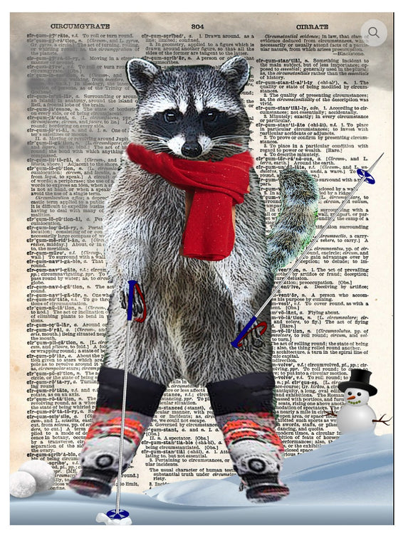 Artnwordz Raccoon Wonderland Skiing Dictionary Page Pop Art Wall or Desk Art Print Poster