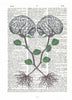 Artnwordz Brain Stems Plant Original Dictionary Page Pop Art Print Poster