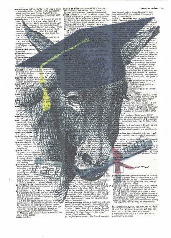 Artnwordz The Smart Ass Donkey Diploma Original Dictionary Page Pop Art Print Poster