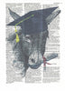 Artnwordz The Smart Ass Donkey Diploma Original Dictionary Page Pop Art Print Poster