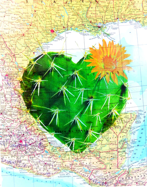 Artnwordz Cactus Heart Original Atlas Sheet Pop Art Wall or Desk Art Print Poster