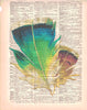 Artnwordz Feather Original Dictionary Sheet Pop Art Wall or Desk Art Print Poster
