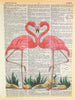 Artnwordz Flamingo Love Dictionary Sheet Pop Art Wall or Desk Art Print Poster