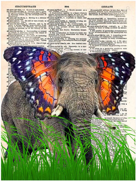 Artnwordz Elephfly Elephant With Butterfly Ears Original Dictionary Sheet Pop Art Wall or Desk Art Print Poster