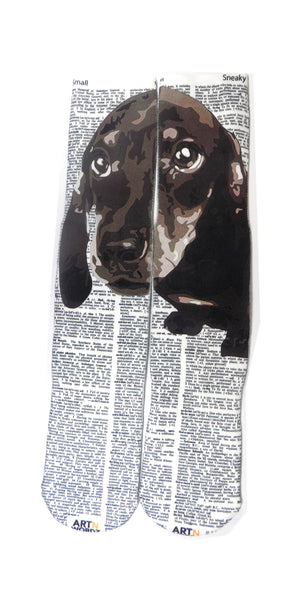 Artnwordz Dachshund Face Unisex Dictionary Art Socks