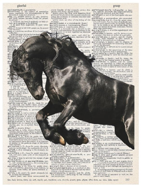 Artnwordz Horse Arabian Dictionary Art