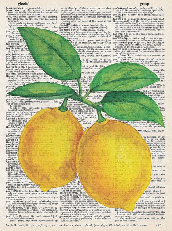 Lemons Dictionary Art Print