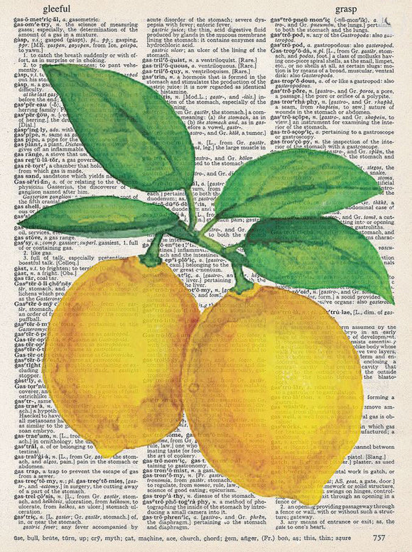 Artnwordz Lemons Original Dictionary Sheet Original Pop Art Wall or Desk Art Print Poster