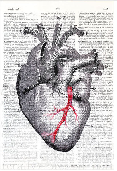 Artnwordz Black Heart Original Dictionary Sheet Pop Art Wall or Desk Art Print Poster