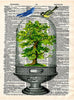 Artnwordz Bonsai Tree Under Glass Dictionary Page Art