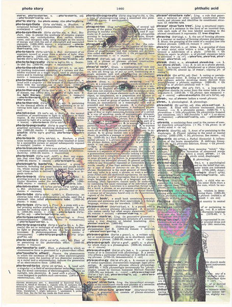 Artnwordz Free To Be Marilyn Monroe Original Dictionary Sheet Pop Art Wall or Desk Art Print Poster