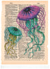 Artnwordz Jellyfish Dictionary Page Wall Art Print
