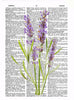 Artnwordz Lavender Flower Original Dictionary Sheet Pop Art Wall or Desk Art Print Poster