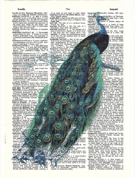 Artnwordz Peacock Original Dictionary Sheet Pop Art Wall or Desk Art Print Poster