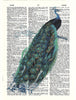 Artnwordz Peacock Original Dictionary Sheet Pop Art Wall or Desk Art Print Poster