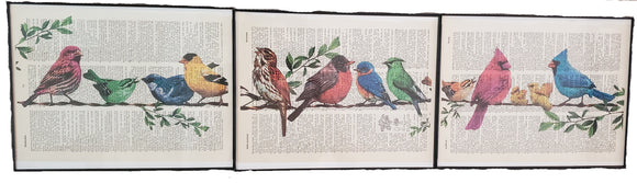 Artnwordz Pretty Birds 3 Piece Dictionary Art Print