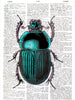 Artnwordz Scarab Dictionary Art Print