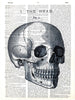 Artnwordz The Head Skull Original Dictionary Sheet Pop Art Wall or Desk Art Print Poster