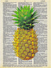 Artnwordz Pineapple Yellow Original Dictionary Sheet Pop Art Wall or Desk Art Print Poster