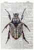 Artnwordz Yellow Beetle Bug Dictionary Sheet Pop Art Wall or Desk Art Print Poster