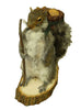Hiking Squirrel Professional Taxidermy Mounted Animal Statue Home or Office Gift