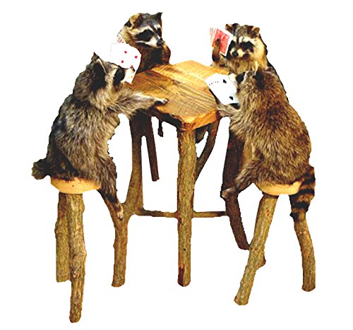 Raccoons Playing Poker Table Professional Taxidermy Mounted Animal Statue Home or Office Gift